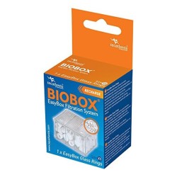 Recharge Easybox Glass...