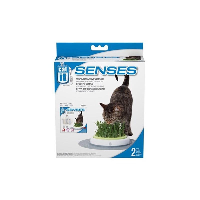Herbe à chat (lot de 2 recharges)