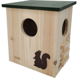 Nid Bois Ecureuil Vert...