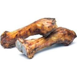 Fémur de Boeuf